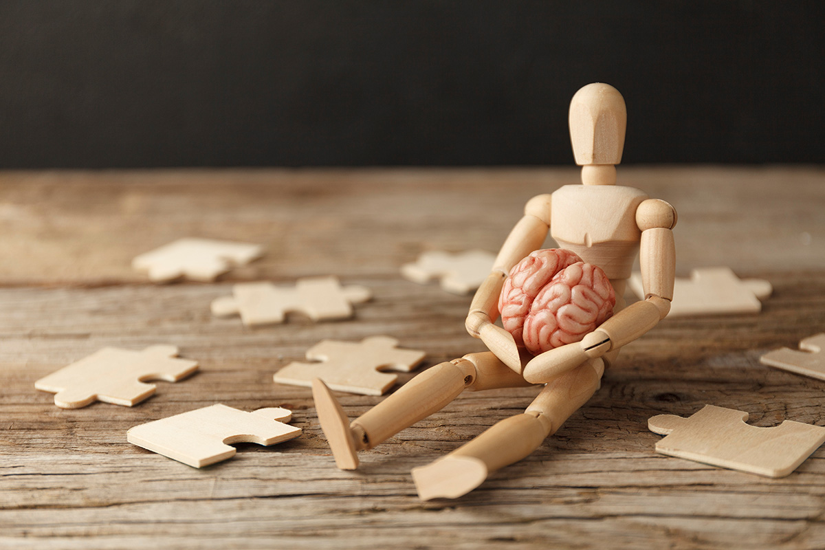 sitting wooden mannequin holding a brain