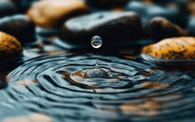 The Content Echo:  How your words ripple through your industry